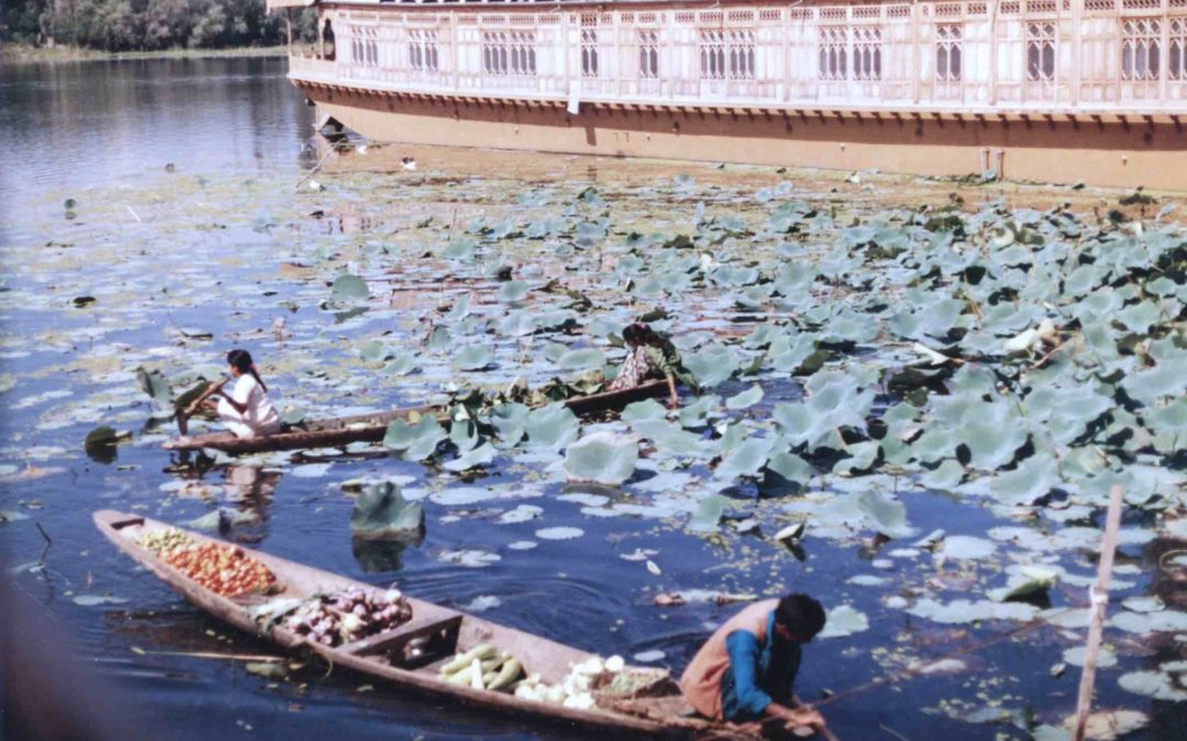 india 1983
